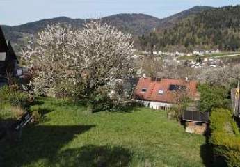 489127-Vorschaubild3