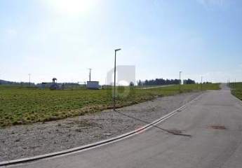 489129-Vorschaubild3