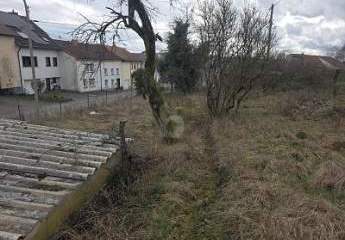 489130-Vorschaubild4