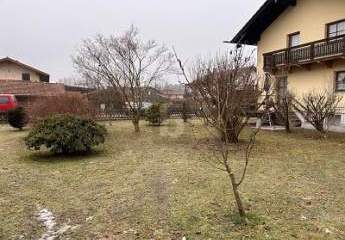 484235-Vorschaubild2