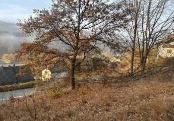 489343-Vorschaubild4