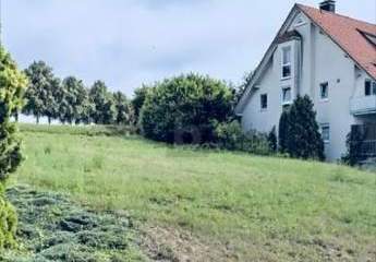 488776-Vorschaubild2