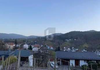 489880-Vorschaubild4