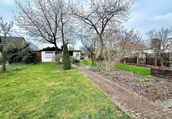489497-Vorschaubild4