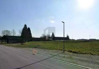 488688-Vorschaubild3