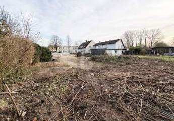 489964-Vorschaubild3