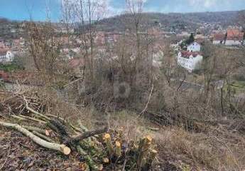 489527-Vorschaubild4