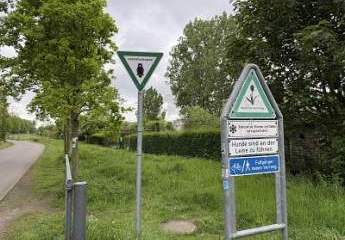 489870-Vorschaubild4