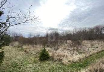 489115-Vorschaubild4