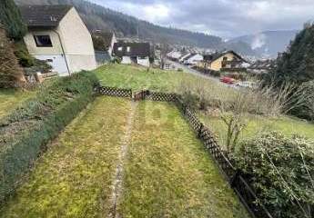 491303-Vorschaubild2