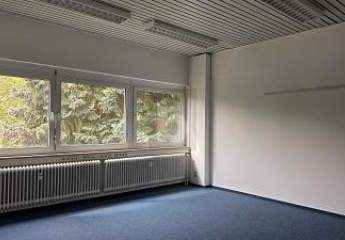 491622-Vorschaubild3