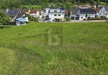 491497-Vorschaubild2
