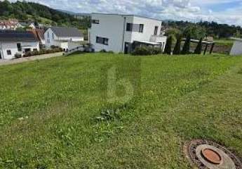 491497-Vorschaubild3
