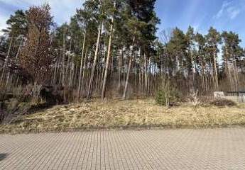 491422-Vorschaubild2
