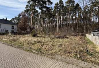 491422-Vorschaubild3