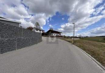 492101-Vorschaubild4