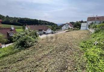 493110-Vorschaubild3
