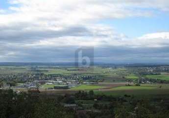 492420-Vorschaubild2