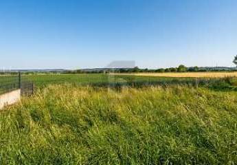493261-Vorschaubild2