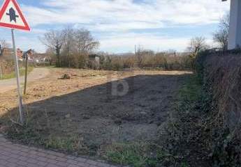 KAISERSTÜHLER IDYLLE TRIFFT FREIBURGER STADTNÄHE
