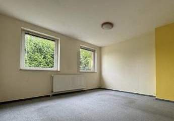 493737-Vorschaubild4