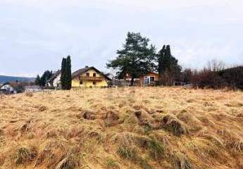 494600-Vorschaubild4