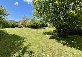 494802-Vorschaubild2