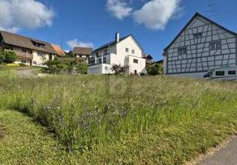 495021-Vorschaubild3