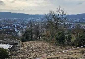 494334-Vorschaubild4