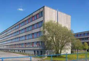 492382-Vorschaubild2