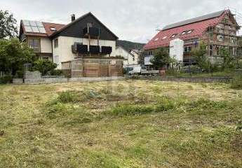 494800-Vorschaubild2