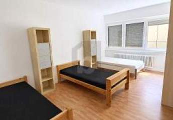 493552-Vorschaubild3