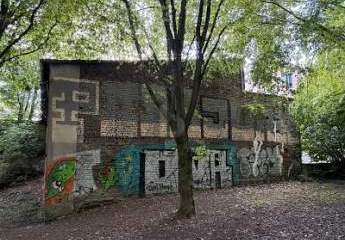 494206-Vorschaubild2