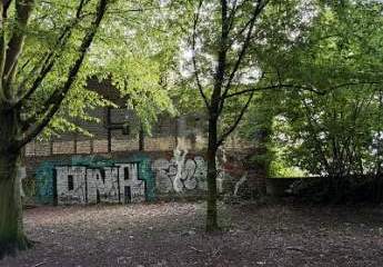 494206-Vorschaubild3