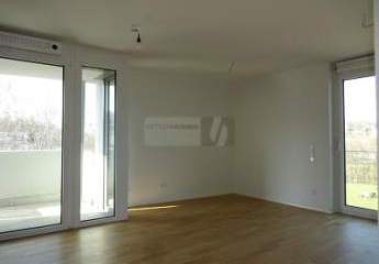 495719-Vorschaubild2