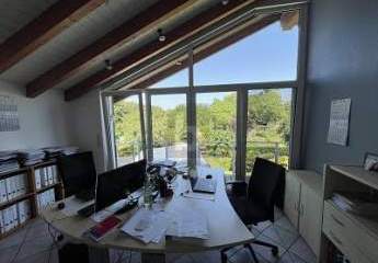 496208-Vorschaubild3