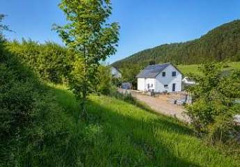 496215-Vorschaubild3