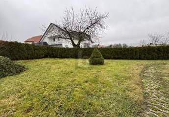 492770-Vorschaubild2