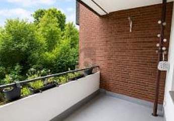 495586-Vorschaubild4