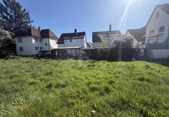 496203-Vorschaubild2