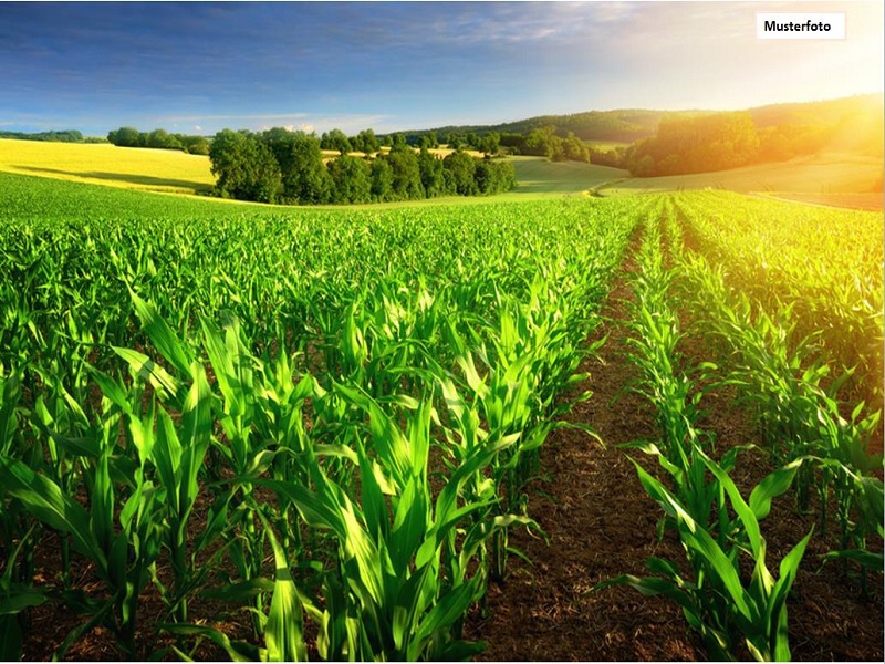 Land- / Forstwirtschaft in 21770 Mittelstenahe, Neue Teile