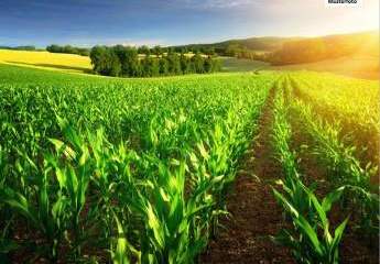 Land- / Forstwirtschaft in 36466 Dermbach, Splittersiedlung Pillersmühle