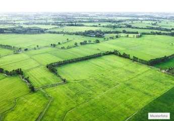 Land- / Forstwirtschaft in 67700 Niederkirchen, Im Tal
