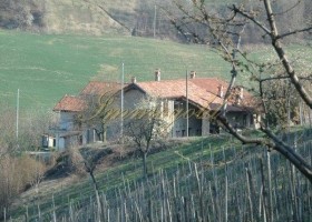 Betriebsfertiger Agriturismo mit eigenem Weinberg, in touristisch hochinteressanter Weingegend.
