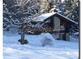 Immogold IMI 1302 Chalet Combloux mit Blick auf den Mont Blanc