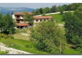 Immogold, gepflegtes Landhaus in schöner Lage, nahe den Weinbergen und Alba