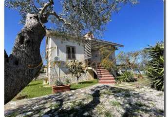 Villa umgeben von jahrhundertealter Olivenbäumen, Meerblick