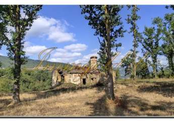 Immogold Hausruine rustikal mit ehemaligem Taubenschlag und herrlichem Walnußwald und riesigem Grundstück