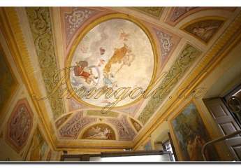 454319-Vorschaubild3