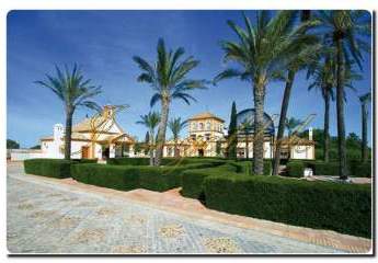 456081-Vorschaubild2